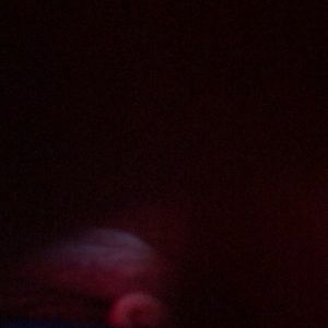 Meet your Posher, Edgar